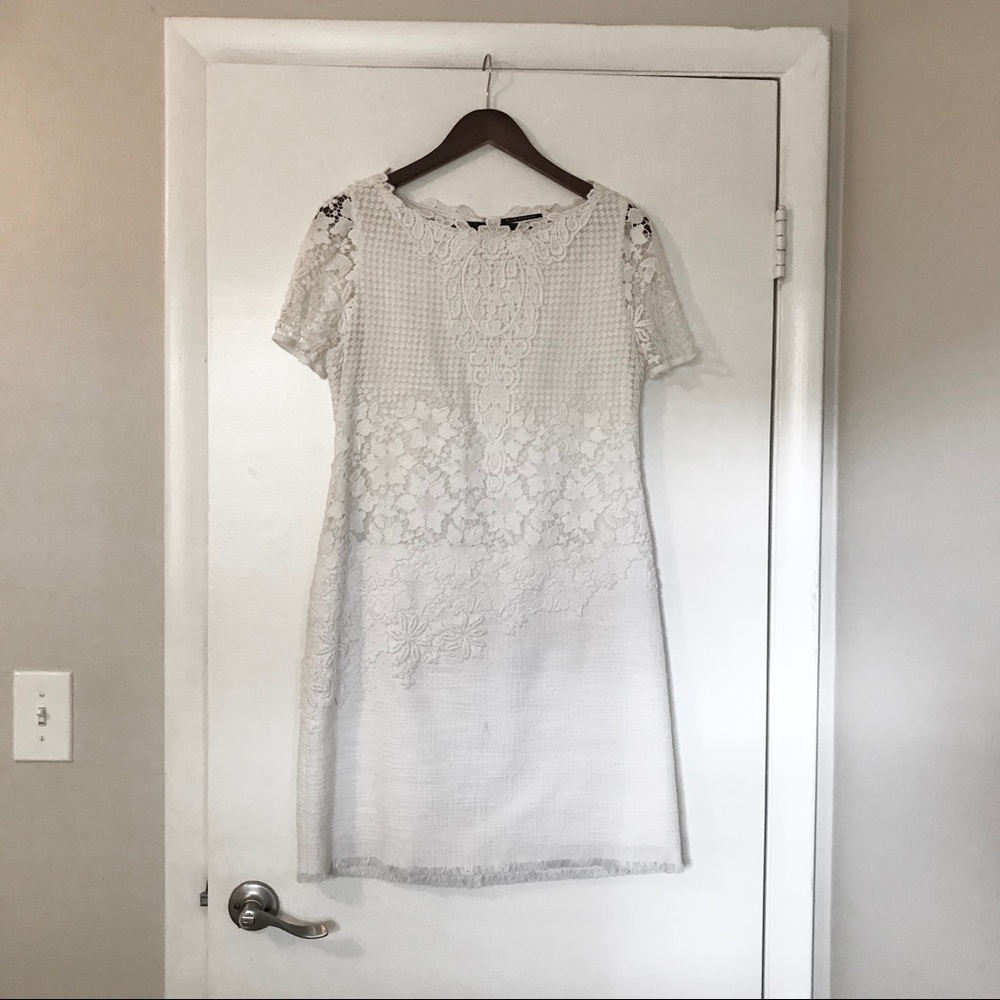 Ellie Tahari dress size 10 with lace sleeve